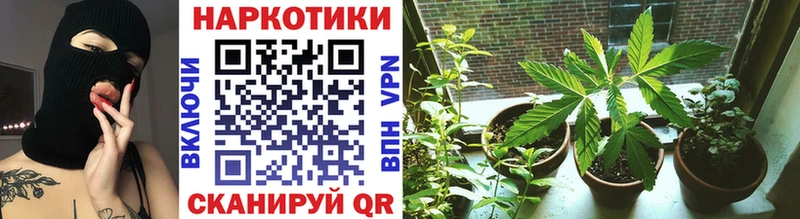 ГАШИШ Болхов