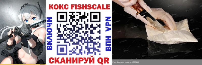 КОКАИН FishScale  где купить наркоту  Болхов 