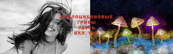 сатива Пестово