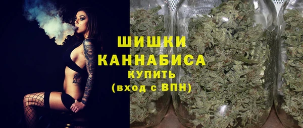сатива Пестово