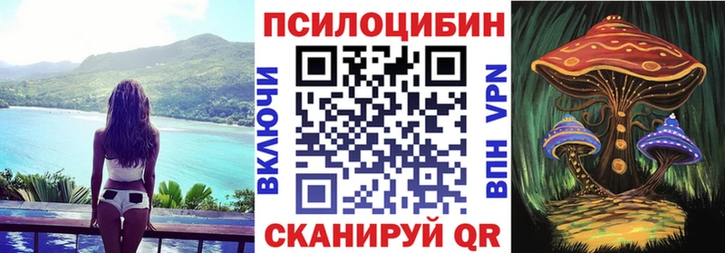 Псилоцибиновые грибы ЛСД Болхов